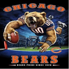 TS012 Chicago Bears